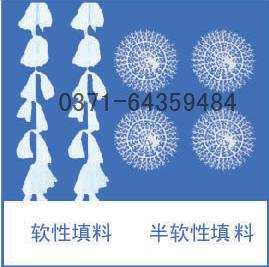 ܛ������